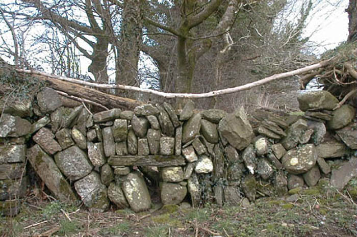 Stone wall gapped 2.jpg 94.4K